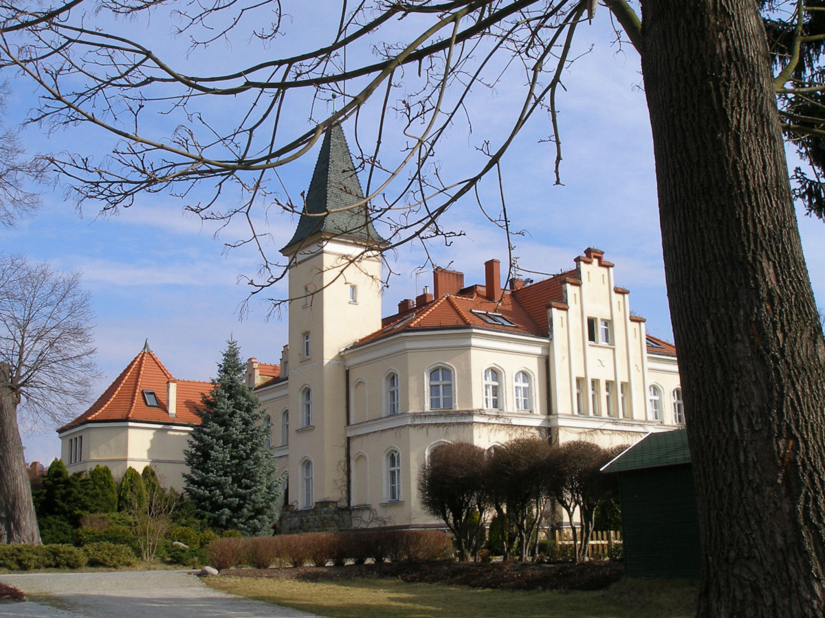 View from FAKRO windows at the 200-year-old park